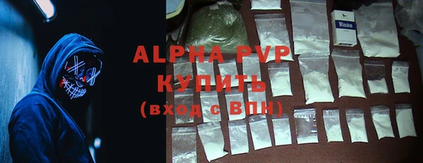 стаф Алексин