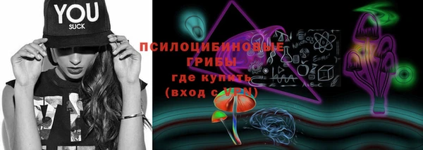 круглые Алзамай
