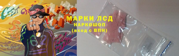 стаф Алексин