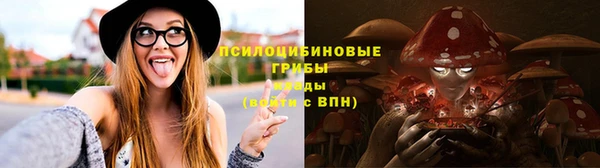 стаф Алексин