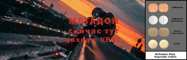 дурь Тайга