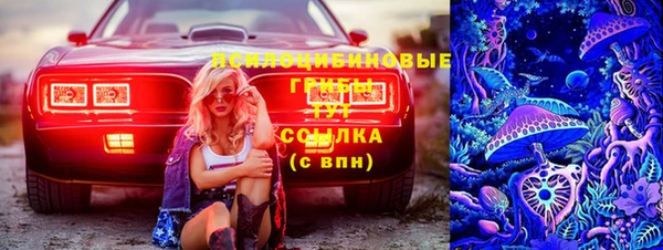 круглые Алзамай