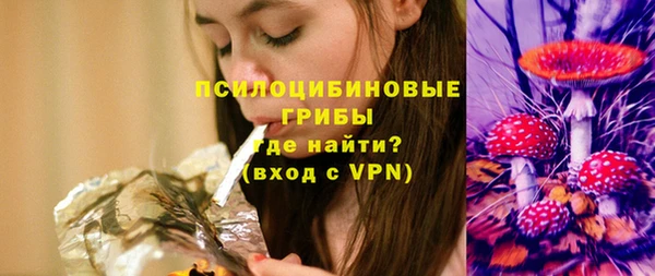круглые Алзамай