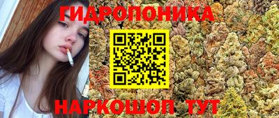 дживик Северобайкальск