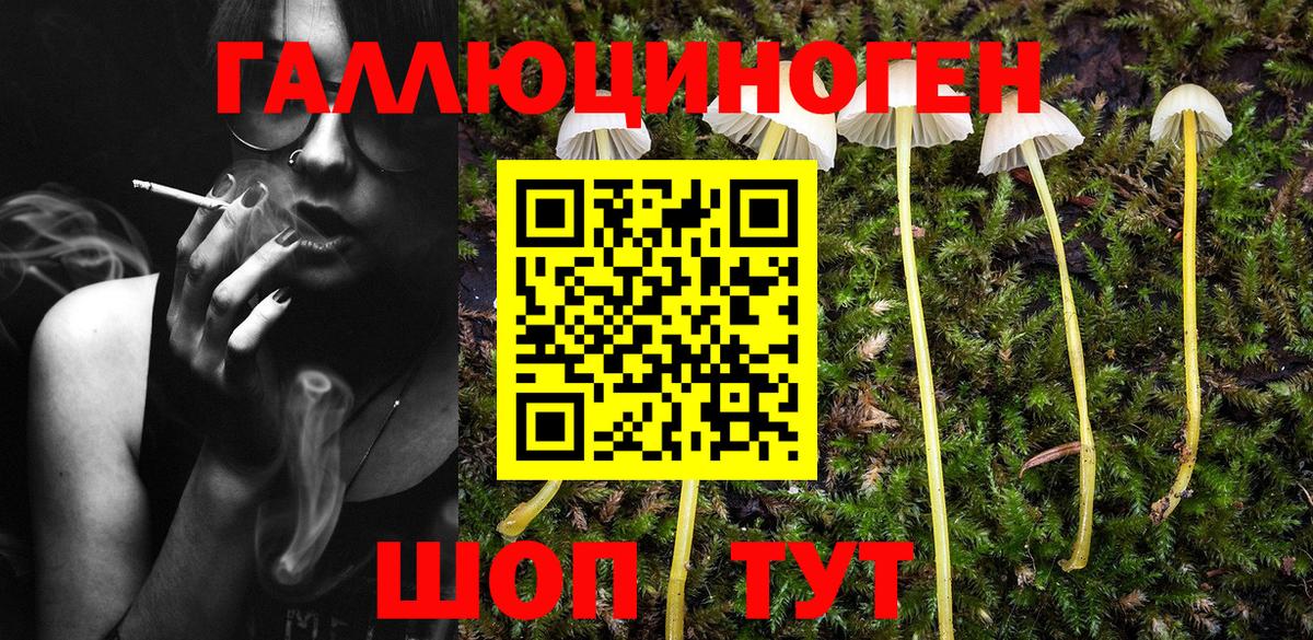 Сургут  Псилоцибиновые грибы Psilocybine cubensis  Галлюциногенные грибы GOLDEN TEACHER  Вход с VPN 